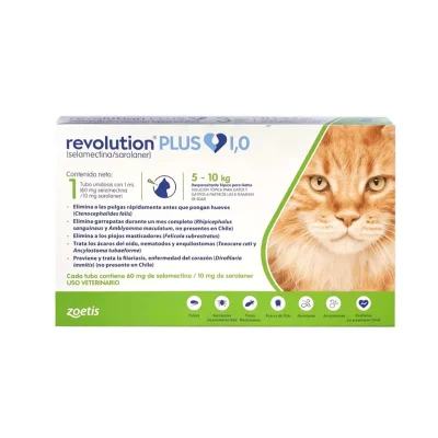 Revolution plus pipeta gato 5 a 10  kilos