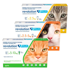 Pipeta Revolution Gatos